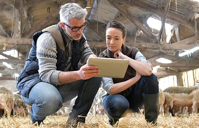 Κτηνίατροι Δημοσίου προς ηγεσία ΥπΑΑΤ: Ανησυχία για αδυναμία αντιμετώπισης Ευλογιάς, ενώ ο Αφθώδης είναι προ των πυλών