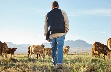Πρόσκληση Σχοινά για συνάντηση με κτηνοτρόφους και τυροκόμους της Λέσβου