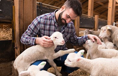 Συνάντηση με την ηγεσία ΥπΑΑΤ ζητούν κτηνοτρόφοι για προβλήματα του κλάδου, πότε θα γίνει σύσκεψη στο Μαξίμου