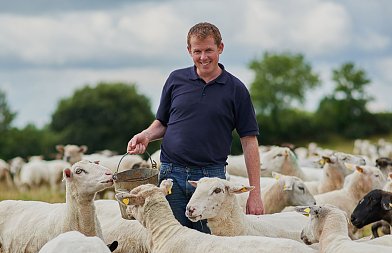 Συνεχίζουν τις κινητοποιήσεις οι κτηνοτρόφοι της Λέσβου για να σώσουν τα ζώα τους