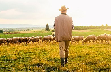 Με υποσχέσεις για πληρωμές έφυγαν οι κτηνοτρόφοι της Κρήτης από την Αθήνα
