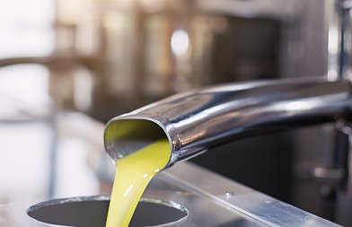 Άνοδο τιμής με πώληση έξτρα παρθένου στην Λακωνία στα 5,60 ευρώ, τιμές και εξαγωγές στην Ισπανία