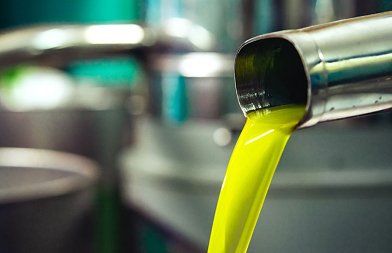 Γνωριμία με Αγροτικούς Ελαιοκομικούς Συνεταιρισμούς