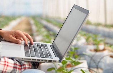 Αναμονή ανοίγματος ΟΣΔΕ 2024 και 2025 για διορθώσεις, αναζητούνται λύσεις στο monitoring, μπλόκο σε πάνω από 800.000 αγροτεμάχια