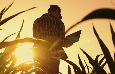 Διορθώσεις στην ΑΑΔΕ για αγροτεμάχια έως 20 στρέμματα που δεν πληρώθηκαν, νομοθετική ρύθμιση για να λυθούν τα ιδιοκτησιακά