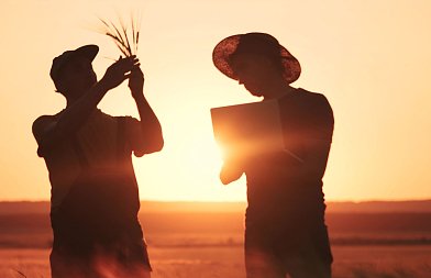 Μεγάλες ανισότητες στην κρατική στήριξη των αγροτών ανά τον κόσμο