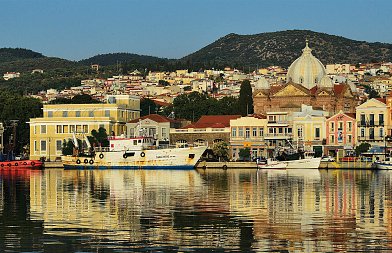 Επιπλέον ενίσχυση των μέτρων βιοασφάλειας στη Λέσβο ζητά ο Υφυπουργός ΑΑΤ από τον Περιφερειάρχη Βορείου Αιγαίου