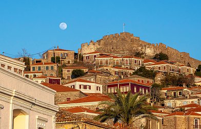 Αφθώδης πυρετός στη Λέσβο: Εκκρεμούν οι αποζημιώσεις, ενώ παραμένουν κρίσιμα ζητήματα για την κτηνοτροφία