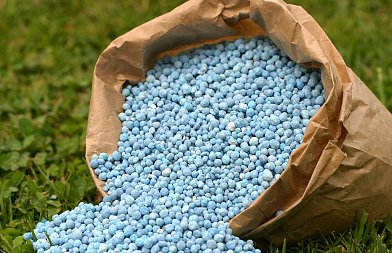 ΣΠΕΛ: Παγκόσμια Ημέρα Λιπασμάτων η 13η Οκτωβρίου