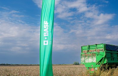 1ο Φεστιβάλ Βαμβακιού από τη BASF: Μια γιορτή για τον Έλληνα παραγωγό