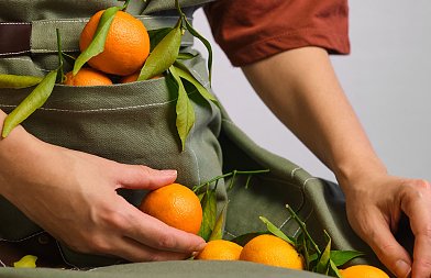 Αυξημένη ζήτηση για μανταρίνια Ορτανίκ και Αφουρέρ από εγχώρια αγορά και εξαγωγή, που κυμαίνονται οι τιμές τους