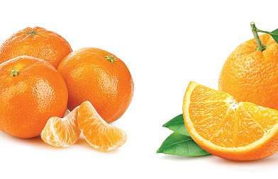 Τελειώματα τα Ορτανίκ ξεκίνησαν τα Βαλέντσια στην Λακωνία, που κυμαίνονται οι τιμές, ζημιές στα πορτοκάλια της Ιταλίας