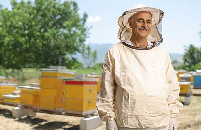 Καθορίστηκε το ύψος οικονομικής ενίσχυσης στην μελισσοκομία των Μικρών Νησιών Αιγαίου Πελάγους για το 2025
