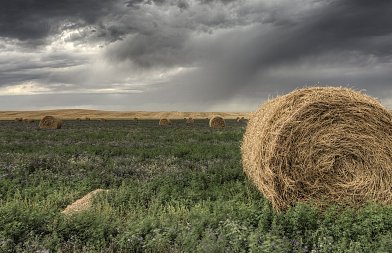 Πότε πληρώνεται το de minimis στην μηδική, τα ποσά θα είναι αφορολόγητα και ακατάσχετα