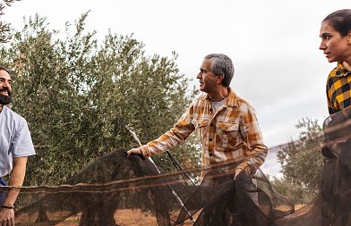 Αφιέρωμα: Μηχανήματα για την ελαιοσυλλογή