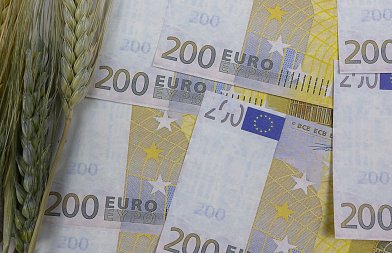 Σχέδια Βελτίωσης: Αίτημα για αλλαγές σε κριτήρια επιλεξιμότητας και αύξηση προϋπολογισμού