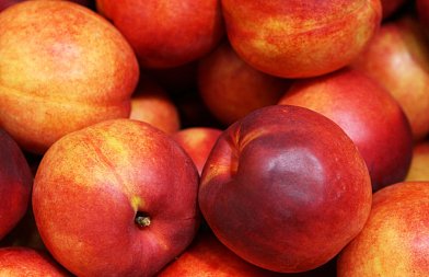 Νεκταρινιά: Οι κρίσιμες επιλογές για την εγκατάσταση νέας φυτείας