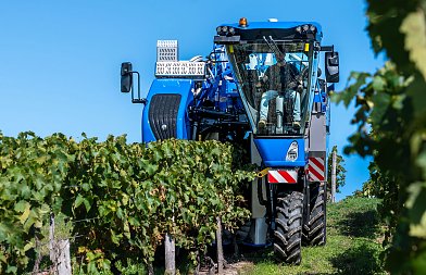 Η New Holland δημιουργεί ρεκόρ στην απόδοση της συγκομιδής σταφυλιών