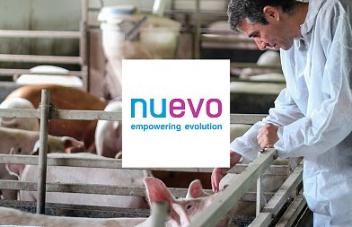Full Value Pigs: εκεί όπου η Γενετική, η Διατροφή και η Διαχείριση αποδίδουν πραγματική εμπορική υπεραξία!