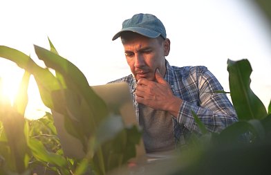 ΕΑΕ 2025: Λήγει στις 7 Σεπτεμβρίου η προθεσμία – Τι διορθώνεται και τι ισχύει στις συνδεδεμένες