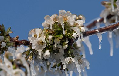 Θετικό το ΓΕΩΤΕΕ στην θέσπιση ευρωπαϊκού μηχανισμού αντασφάλισης, ερωτήματα για μη εφαρμογή του ΟΑΣΙΣ