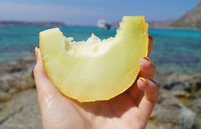 Μειωμένες αποδόσεις στα πεπόνια λόγω καιρικών συνθηκών, που κυμαίνονται οι τιμές