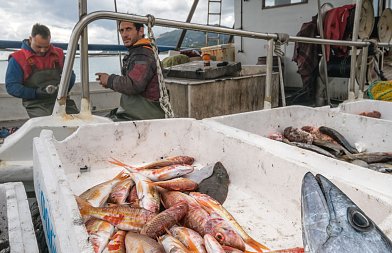 Συνεχίζουν τις κινητοποιήσεις τους οι αλιείς αν και το ΥπΑΑΤ ανακοίνωσε ότι διπλασιάζεται η επιδότηση αλιευτικού πετρελαίου