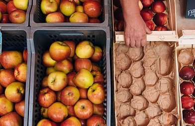 Υψηλά παραμένουν τα αποθέματα μήλων και αχλαδιών στην Ευρώπη – Στους 3,42 εκατ. τόνους τα μήλα τον Φεβρουάριο 2026