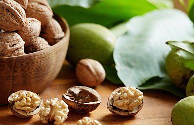 Καρυδιά: Φυτόφθορα και λοιπές ασθένειες ριζών – Κρίσιμα σημεία για την πρόληψη και τη διαχείριση