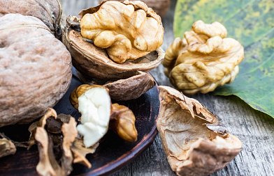 Βακτηρίωση καρυδιάς: Η διαχείριση της ασθένειας στο κρίσιμο στάδιο της άνοιξης