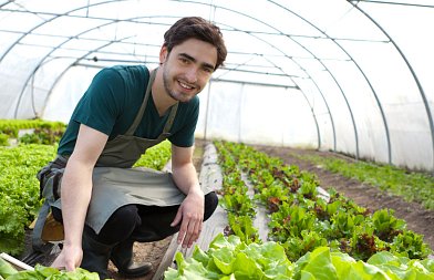 Το Μεγάλο Στοίχημα της Ευρώπης: Η Αναγέννηση των Γενεών στη Γεωργία