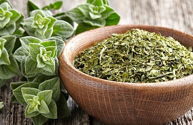 Καλλιέργεια ρίγανης: αποδόσεις, κόστος και προοπτικές για τον παραγωγό