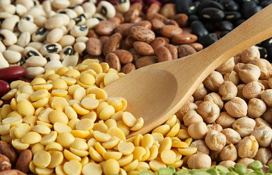 Φυτικές πρωτεΐνες: το ευρωπαϊκό στοίχημα και τι σημαίνει για τη γεωργία