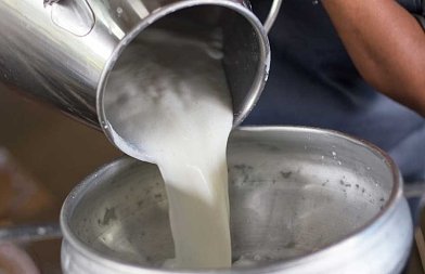 Καθορίστηκαν οι ενισχύσεις ανά τόνο γάλακτος στα μικρά νησιά του Αιγαίου για την παραγωγή τυριών και γιαούρτης
