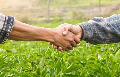 Νέα προθεσμία υποβολής έως 31 Μαρτίου για τις συμβάσεις συμβολαιακής γεωργίας – Τι προβλέπει το ΦΕΚ