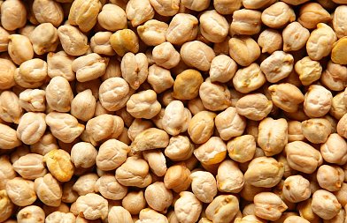 Ψυχανθή στα σιτηρέσια: τι ισχύει για τον παραγωγό