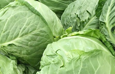 Λάχανα: Η υπερπροσφορά προϊόντος πιέζει τις τιμές