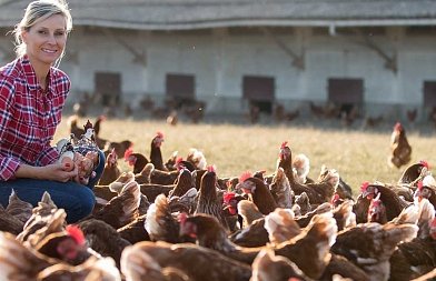Αλλαγές στην ΚΥΑ για επενδυτικά σχέδια ΜΜΕ ως προς τις πτηνοτροφικές μονάδες – Τι προβλέπεται
