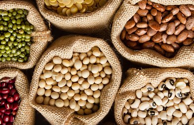 Βρούχοι : ο αθόρυβος κίνδυνος  των οσπρίων