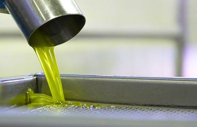Πού θα «βγάλεις» το λάδι φέτος; – Η σημασία του ελαιοτριβείου