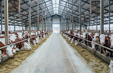 Ευζωία ή stress: Όταν οι συνθήκες στην εκτροφή κάνουν τη διαφορά