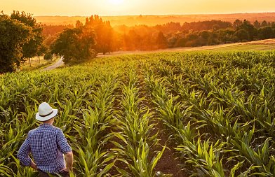 Ποια είναι η πραγματική ετοιμότητα της Ελλάδας για την “Έξυπνη Γεωργία”;