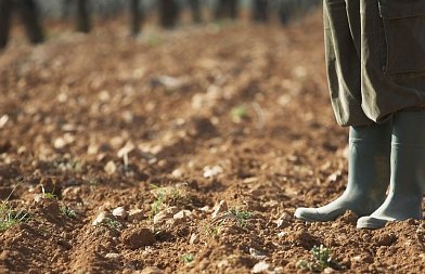 Ειδική ρύθμιση για τους αγρότες και κτηνοτρόφους που επλήγησαν από τον Daniel