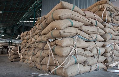 Πώς να αποθηκεύσετε σωστά το καλαμπόκι – Ο πρακτικός οδηγός του παραγωγού