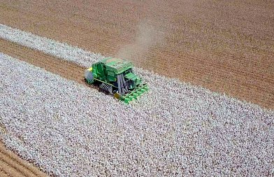 Πώς διαγράφεται το μέλλον του βαμβακιού; – τάσεις και ισορροπίες που αλλάζουν