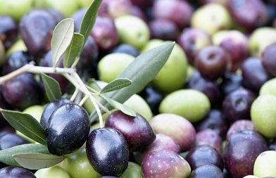 Διαμαρτυρία στην Τρίπολη από ελαιοπαραγωγούς της Πελοποννήσου, καταγγέλλουν ότι οι τιμές είναι κάτω του κόστους