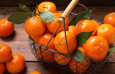 Μανταρίνια στην Ελλάδα: Οι ποικιλίες που διαμορφώνουν την ελληνική παραγωγή