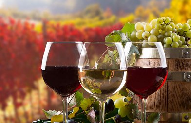 Aυξημένα καταγράφηκαν φέτος τα αποθέματα οίνων και γλευκών