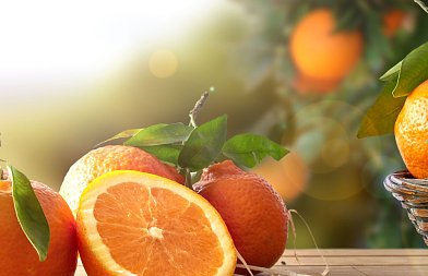 Η εικόνα της αγοράς πορτοκαλιού στην Ευρώπη μέσα από τα στοιχεία της Κομισιόν