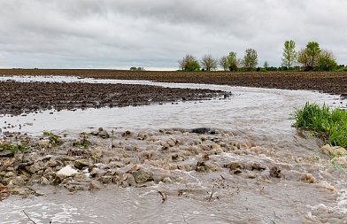 Νέο πλαίσιο ενισχύσεων για τους πληγέντες αγρότες από τις πλημμύρες του 2023: Όροι, ποσοστά και δικαιούχοι